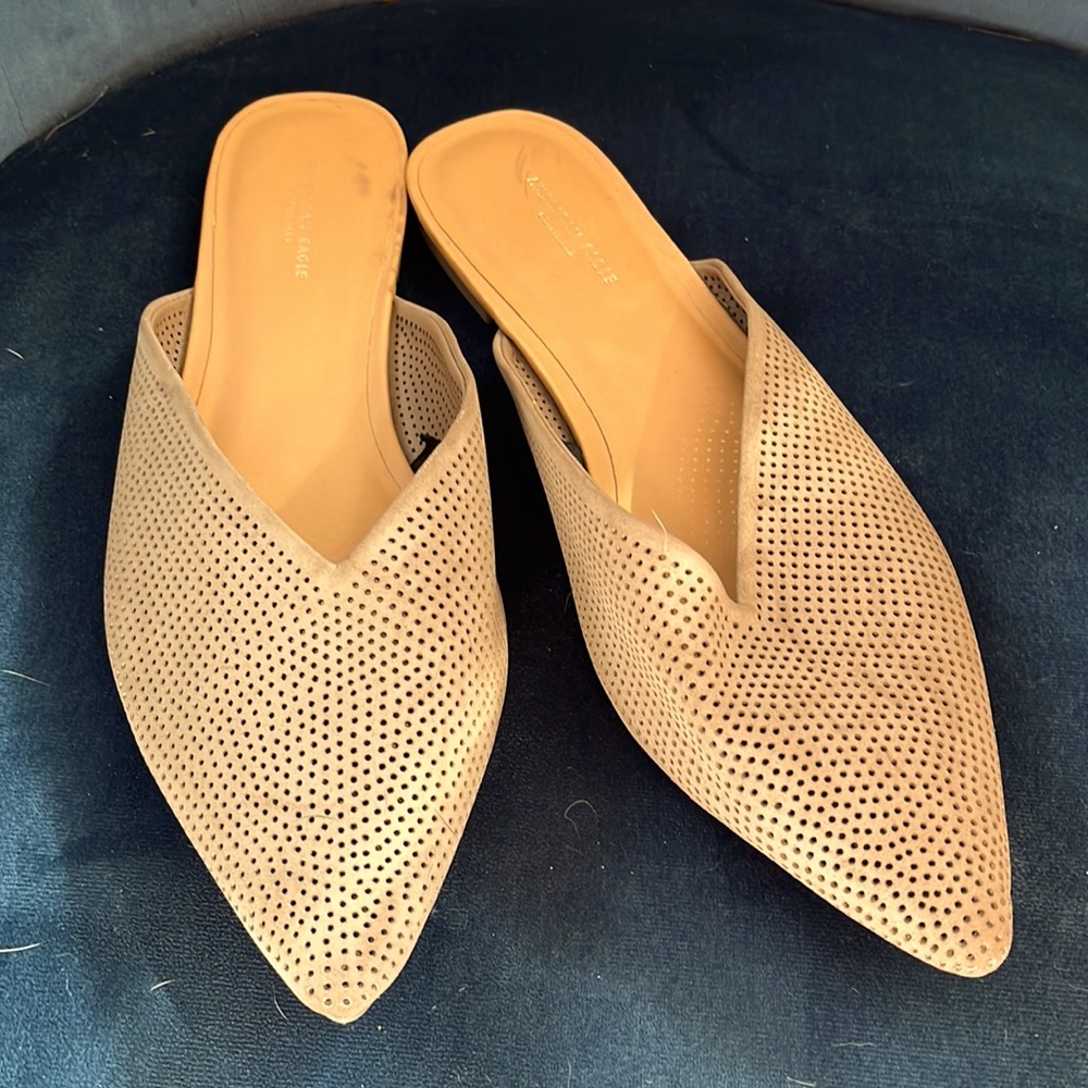 American eagle flats